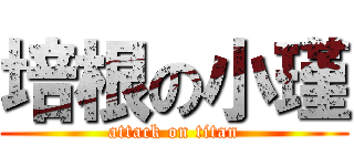 培根の小瑾 (attack on titan)