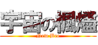 宇宙の楓燼 (New Bee)