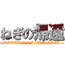 ねぎの帰還 (RETURN OF THE NEGI)