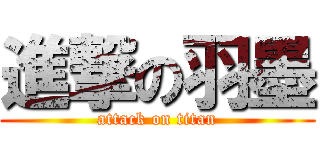 進撃の羽墨 (attack on titan)