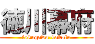 徳川幕府 (tokugawa-bakufu)