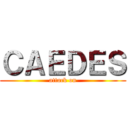 ＣＡＥＤＥＳ (attack on)