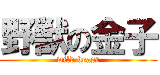 野獣の金子 (wild beast)
