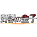 野獣の金子 (wild beast)