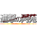 進撃の阿苑 (attack on titan)