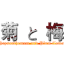 菊  と  梅 (Chrysanthemum and Plum flower)