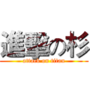 進擊の杉 (attack on titan)