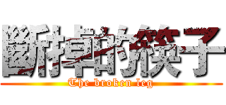 斷掉的筷子 (The broken leg)