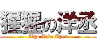 猩猩の洋丞 (Who Like Apes)