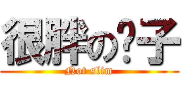 很胖の瘦子 (Not slim)