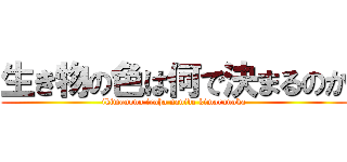 生き物の色は何で決まるのか (ikimonono iroha nanide kimarunoka)