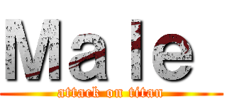 Ｍａｌｅ  (attack on titan)