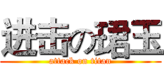 进击の珺玉 (attack on titan)