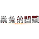 桑 兔 的 凹 類 (O u t l e t)