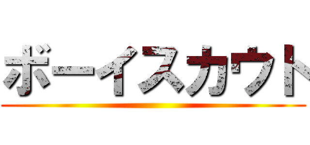 ボーイスカウト ()