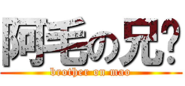 阿毛の兄贵 (brother on mao)