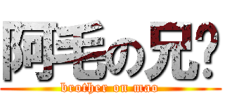 阿毛の兄贵 (brother on mao)