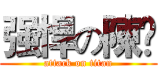 强悍の陳飝 (attack on titan)