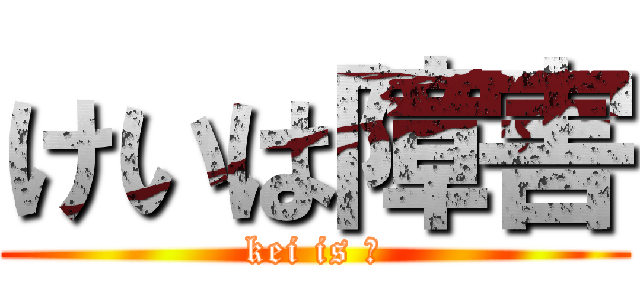 けいは障害 (kei is ♿)