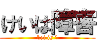 けいは障害 (kei is ♿)