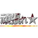 頑張れ★ (faite★)