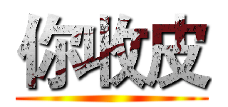 你收皮 ()