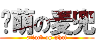 卖萌の麦兜 (attack on what)