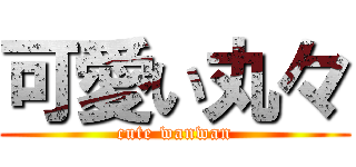 可愛い丸々 (cute wanwan)