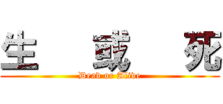 生   或   死 (Dead or Alive)