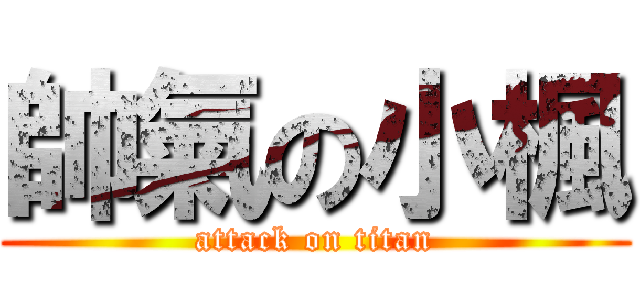 帥氣の小楓 (attack on titan)