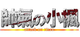 帥氣の小楓 (attack on titan)