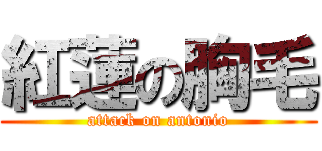 紅蓮の胸毛 (attack on antonio)