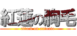 紅蓮の胸毛 (attack on antonio)