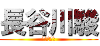 長谷川駿 (とてもはげ)