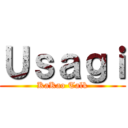 Ｕｓａｇｉ (KaKao Talk)