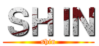 ＳＨＩＮ (shin)