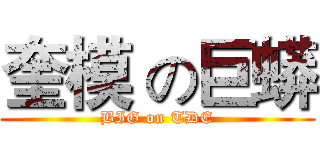 奎模 の巨蟒 (BIG on TDE)
