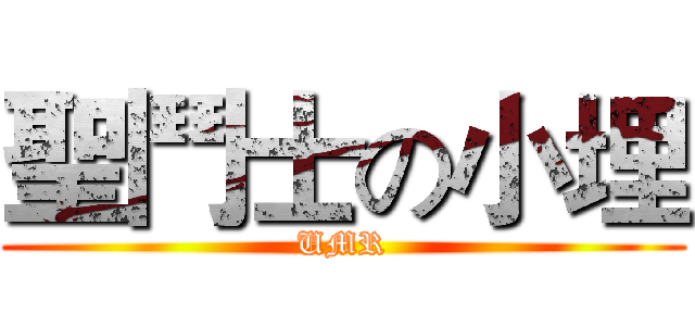 聖鬥士の小埋 (UMR)