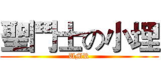 聖鬥士の小埋 (UMR)
