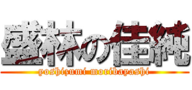 盛林の佳純 (yoshizumi moribayashi)