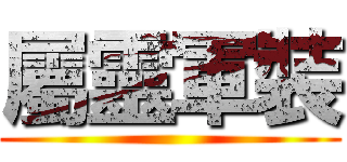 屬靈軍裝 ()