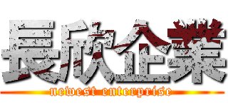長欣企業 (newest enterprise)