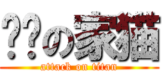 进击の家猫 (attack on titan)