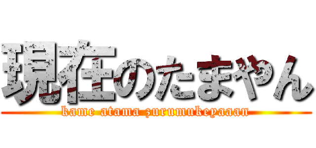 現在のたまやん (kame atama zurumukeyaaan)