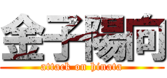 金子陽向 (attack on hinata)