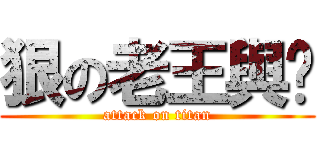 狠の老王與玥 (attack on titan)