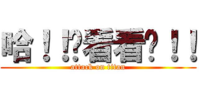 哈！！你看看你！！ (attack on titan)