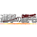 進撃の旋毛 (attack on TUMUJI)