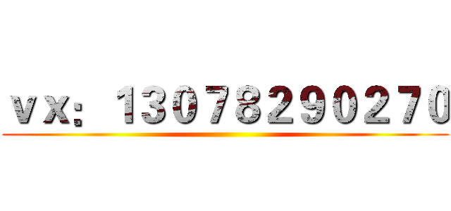 ｖｘ：１３０７８２９０２７０ ()