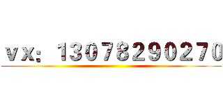 ｖｘ：１３０７８２９０２７０ ()